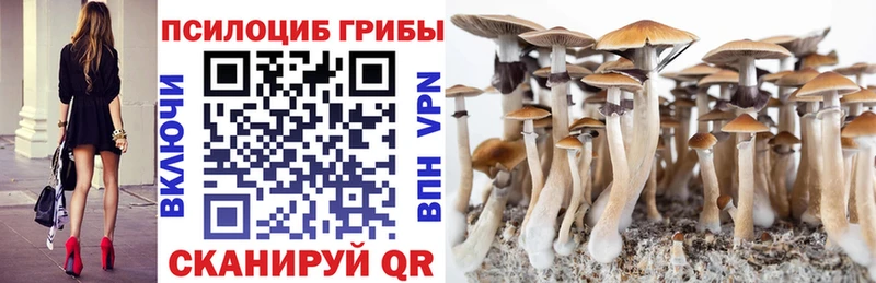 мега ONION  Карабулак  Псилоцибиновые грибы ЛСД 